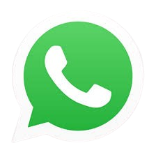 WhatsApp Delivery Support